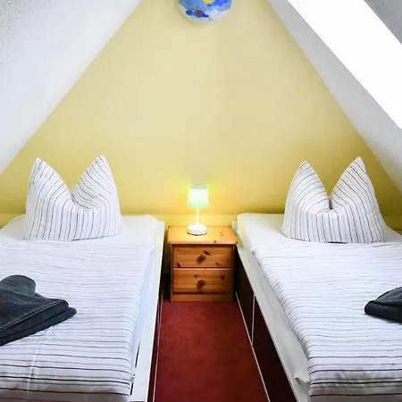 Falke - Der Ostsee So Nah